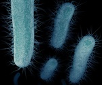 Carbapenem-resistant Enterobacteriaceae: an interview with Dr. Michael Dudley