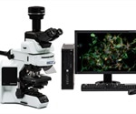 Real-time and fluorescence imaging with the Olympus DP74 color microscope camera