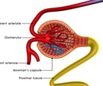 Focal Segmental Glomerular Sclerosis Classification and Causes