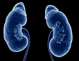 Significant gaps found in nutrition-related care for patients with kidney disease