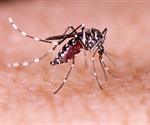 Virginia Tech researchers receive $2.7 million grant to study mosquito's biological timing