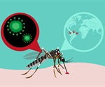 Scientists solve structure of protein crucial to reproduction and spread of Zika virus