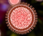Study reveals high-resolution view of Zika viral life cycle within infected cells