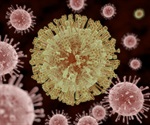 LJI scientists uncover major clue toward developing new antiviral therapies against flaviviruses