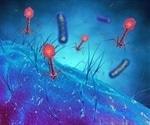 Researchers show usefulness of potential 'phage cocktail' therapy on wound infections