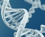 DNA template could explain evolutionary shifts