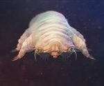 New Approaches for Fighting Demodex Mites