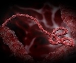 Researchers develop two-pronged approach for targeting Ebola virus