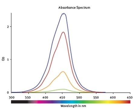 Absorbance spectra of samples containing hNE at different concentrations. The values are corrected for the blank.