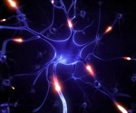 Traumatic brain injury changes the connections between nerve cells across the entire brain