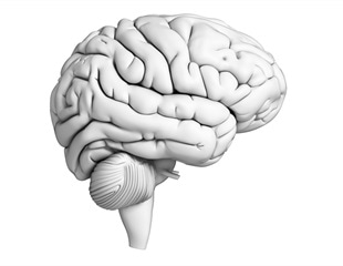 Experts provide neural evidence for the glimpsing model of speech perception