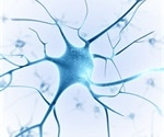 New biotech alliance to focus on diseases of nerve injury and pain