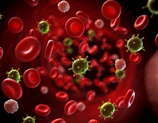 People who belong to blood group Rh(D) have elevated risk of parvovirus infection