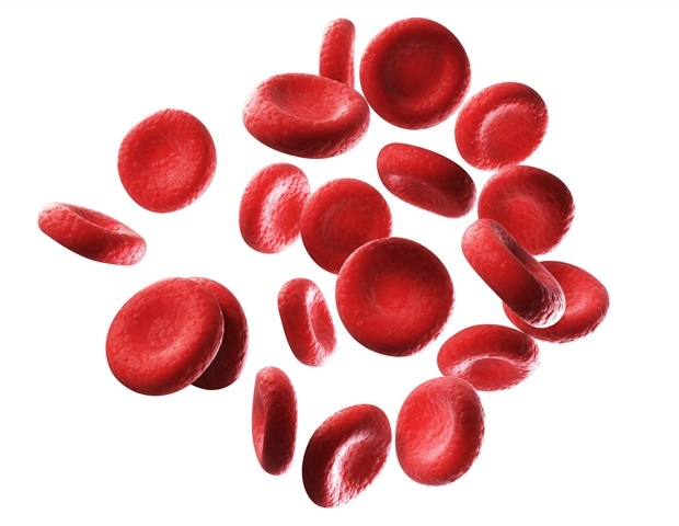 3d Rendered Illustration Of Human Red Blood Cells Sebastian Kaulitzki 2000 0cda0d0f3cb64b54bebc8de4486ae6a5 620x480