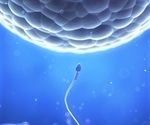 Father's sperm packs more than just a fertilizer