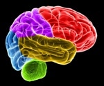 Chronic pain sufferers may be able to reduce pain levels by studying their own live brain images