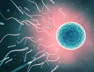 Novel same-day test developed to identify extra or missing fetal chromosomes