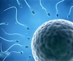 Study finds decline in spermatozoid concentration in young Spanish men