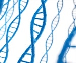 Research sheds light on origins of "junk" DNA