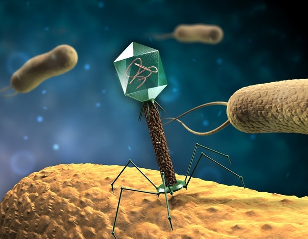 Bacteriophage-derived lysin could be used to target odor-causing bacteria in armpits
