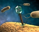 Viruses exploit ability to sense the environment to maximize their infective yield