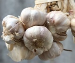 Garlic Allergy