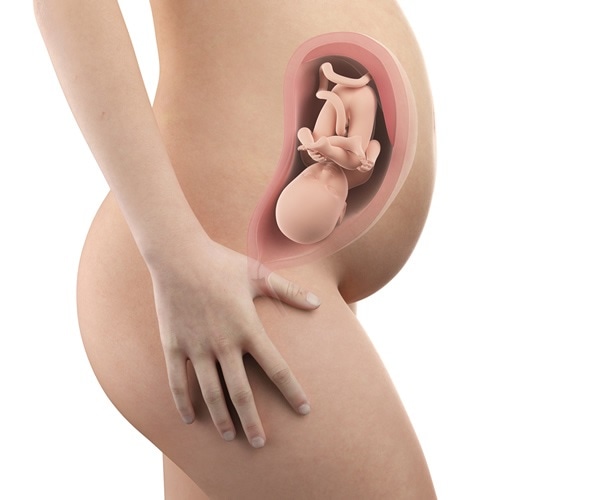 Pregnant woman with visible uterus and fetus week 32. Image Copyright: Sebastian Kaulitzki / Shutterstock