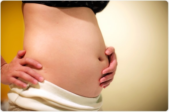 Belly of a pregnant woman on 12 week (3 month). Image Copyright: Noiz Stocker / Shutterstock