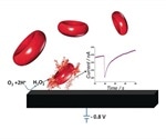 Oxford scientists introduce simple nano-electrochemical process for precise determination of erythrocyte count