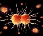 Growing concerns about drug resistance highlight importance of preventing gonorrhea infection
