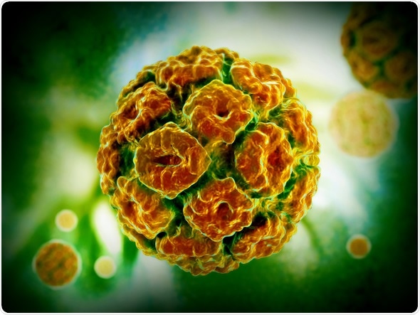 Human Papillomavirus - Image Copyright: Liya Graphics / Shutterstock