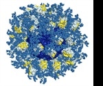 TSRI, IAVI scientists reveal new reductionist vaccine strategy to fight against HIV