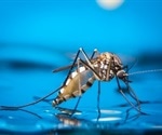 Africa and Asia at greatest risk of Zika virus