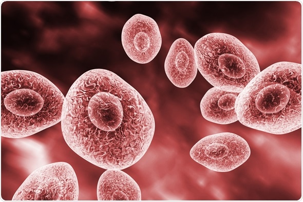 Jirovecii di Pneumocystis, fungo opportunistico che causa la polmonite in pazienti con il HIV, 3D illustrazione - immagine Copyright: Kateryna Kon/Shutterstock