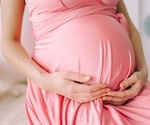 Study sheds light on how the immune system behaves during pregnancy