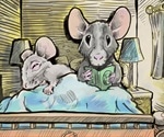 Genetic makeup of social partners influences health, mice study shows