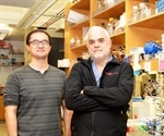 TSRI researchers develop first stable semisynthetic single-celled organism