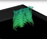 First interactive 3D video hologram displays live footage of internal organs