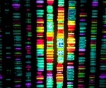 Researchers develop real-time single molecule electronic DNA sequencing platform