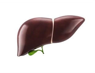 Gut microbiota-derived biomarkers for identifying patients with fatty liver disease