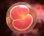 Embryonic stem cells can be created without eggs