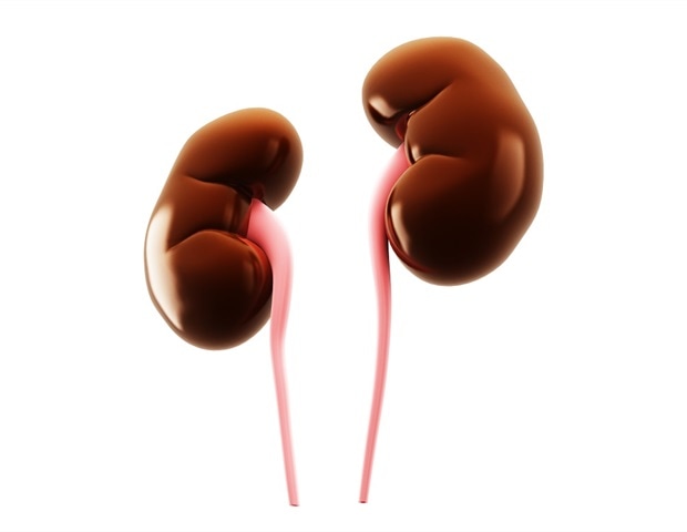 Portable biosensor device for early detection of chronic kidney disease