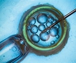 Likelihood of IVF success increases if 18 to 20 eggs are collected