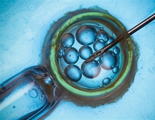 Endocrine Society urges Congress to support legislation protecting access to IVF