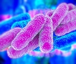 Scientists study Legionella's reprogramming on cells for survival, propagation