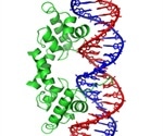 Light Scattering Reveals Novel DNA Applications