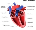 Symptoms and Causes of Double Outlet Right Ventricle