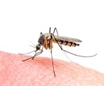 Monoclonal antibody “cocktail” inhibits Zika infection, study reveals