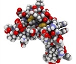 Protein identified as promising novel obesity treatment