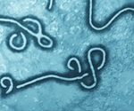 Ebola vaccine that provides a year’s worth of protection developed